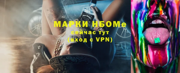 индика Армянск