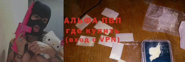 индика Армянск