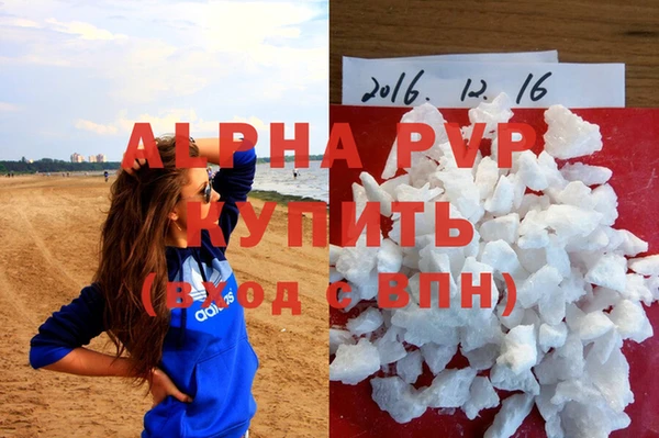 индика Армянск