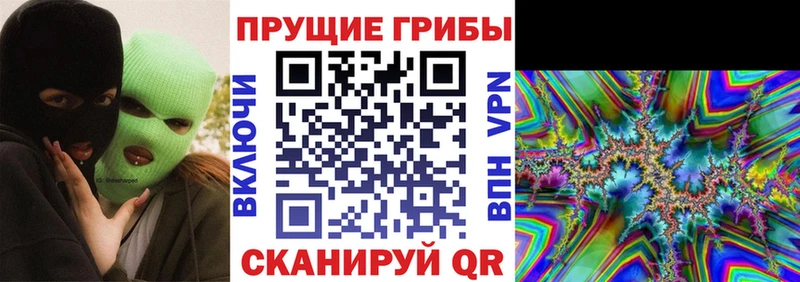 цены   Слюдянка  Галлюциногенные грибы Psilocybine cubensis 